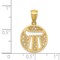 14K Yellow Gold Chai Pendant Charm Jewish Jewelry 21mm x 14mm